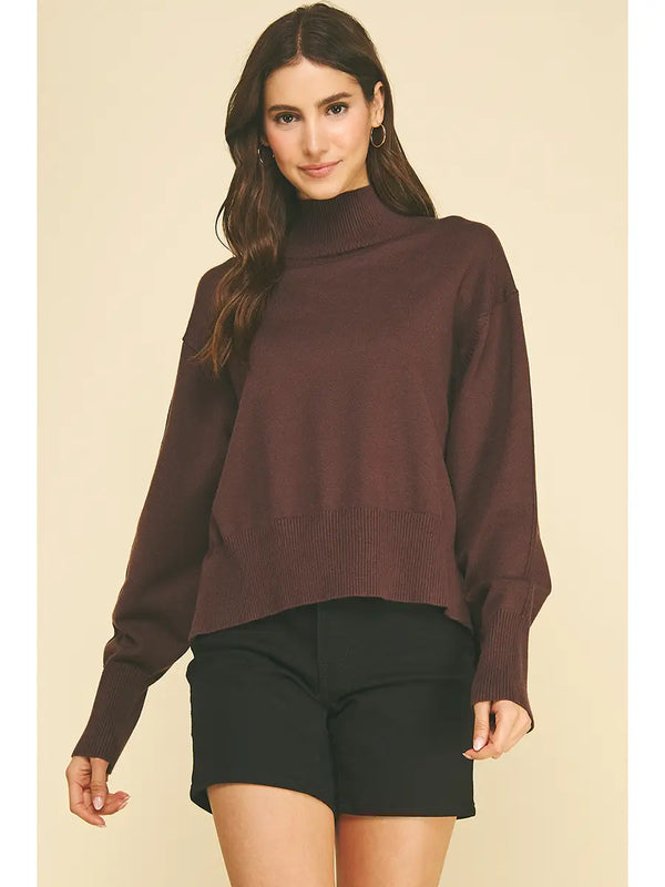 Pinch Turtle Neck Hi-Lo Sweater