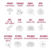 Nashelle Birth Flower Necklaces