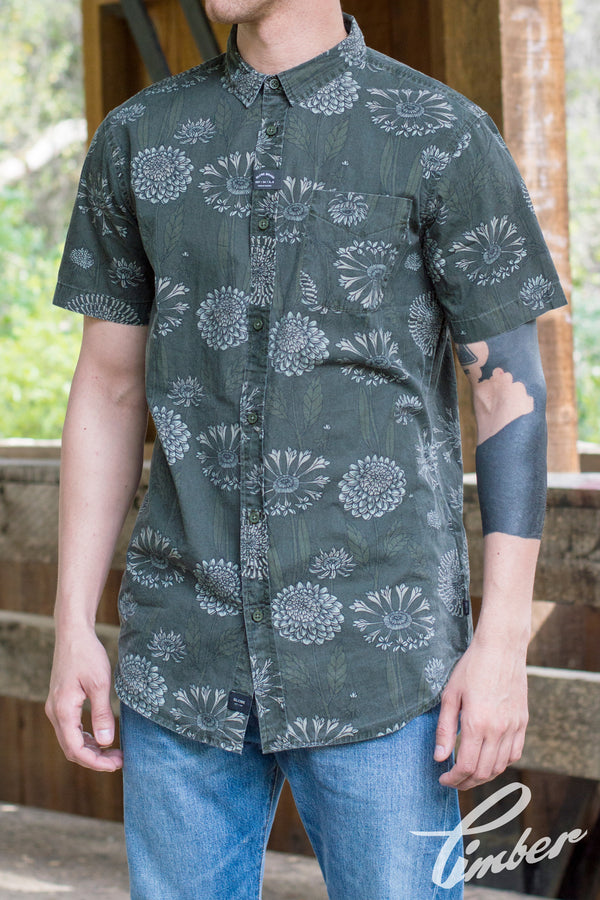 Globe Maize