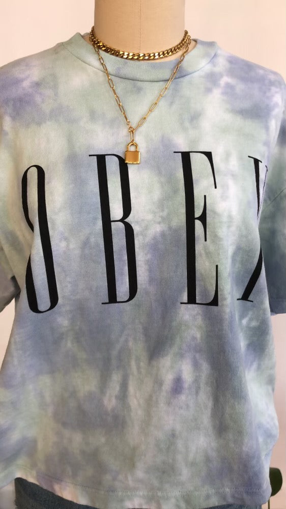 Obey Spiral Shirt